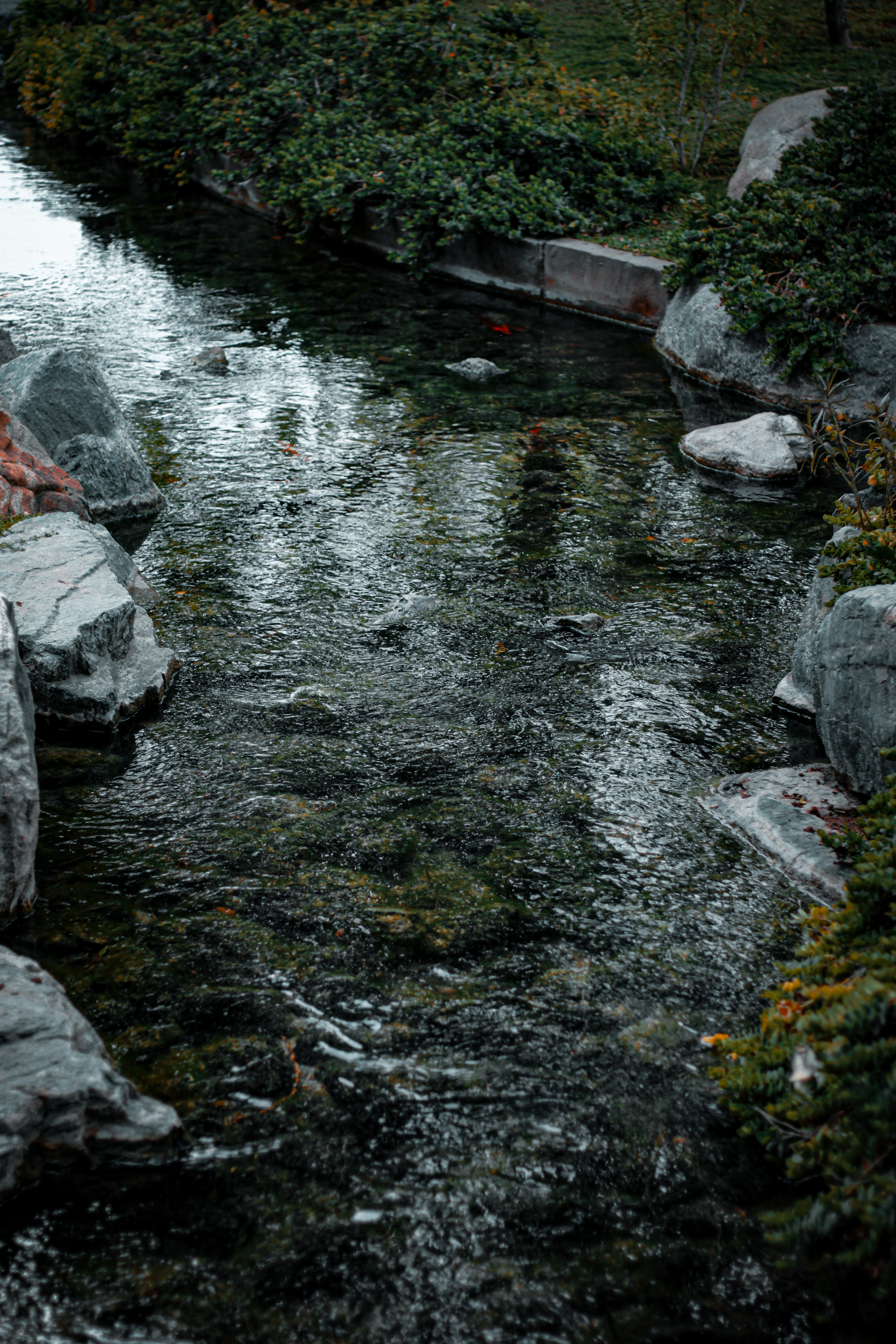 Japanese Friendship Garden design 2
