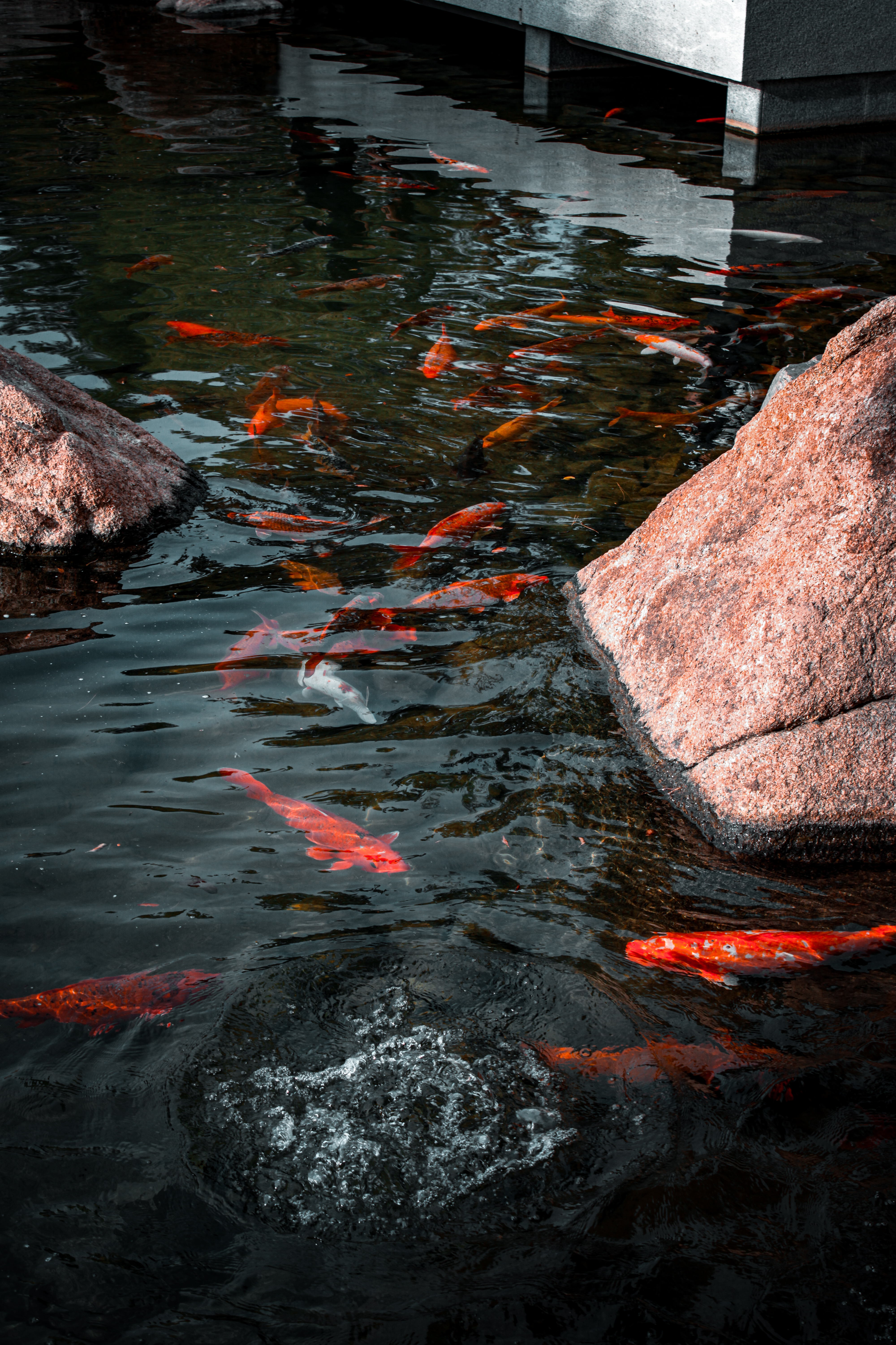 Japanese Friendship Garden design 5